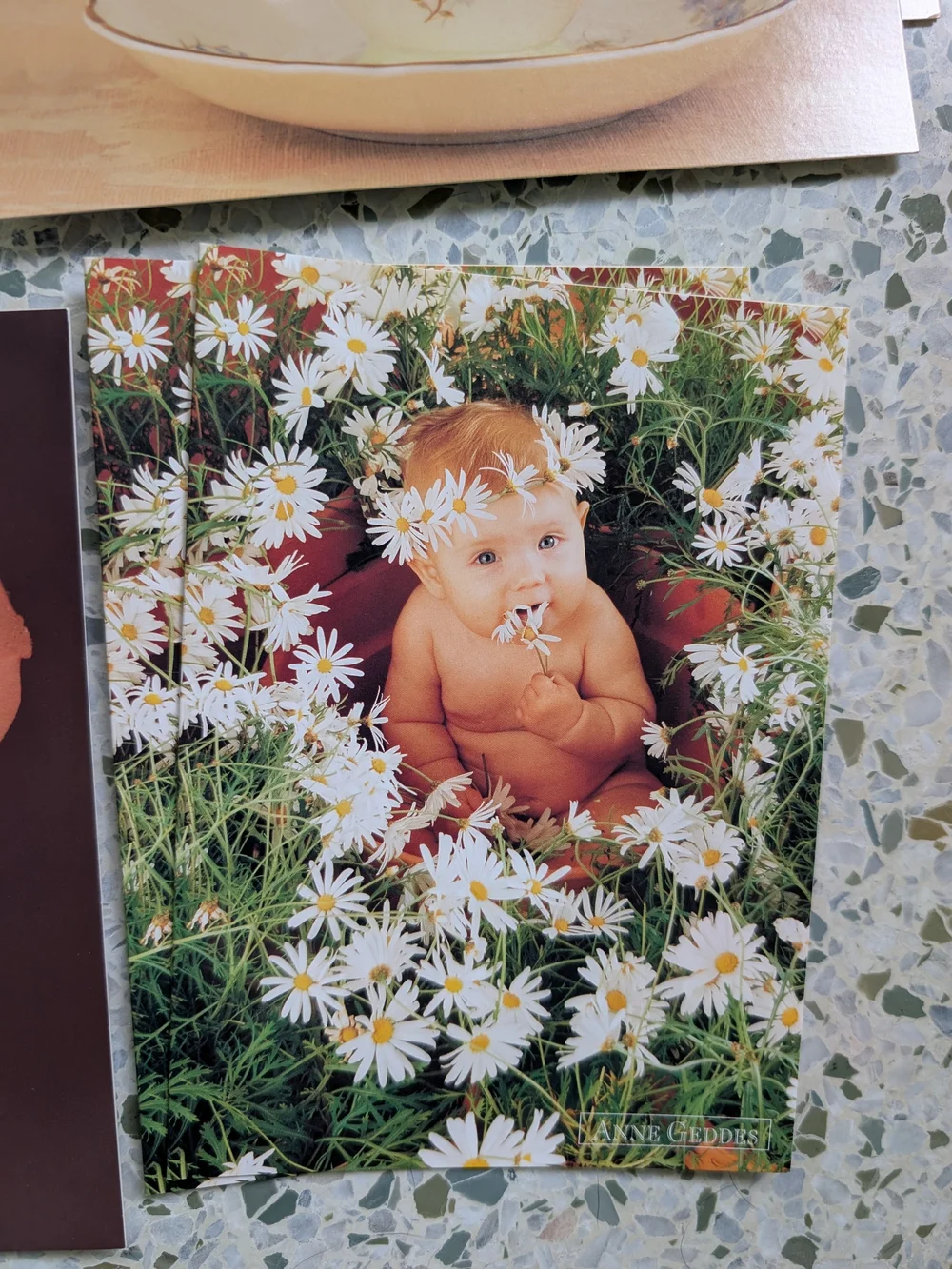 Vintage The Anne Geddes Collection Floral Baby Greeting Cards